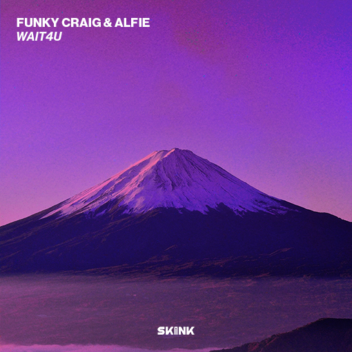Funky Craig & Alfie - Wait4U artwork