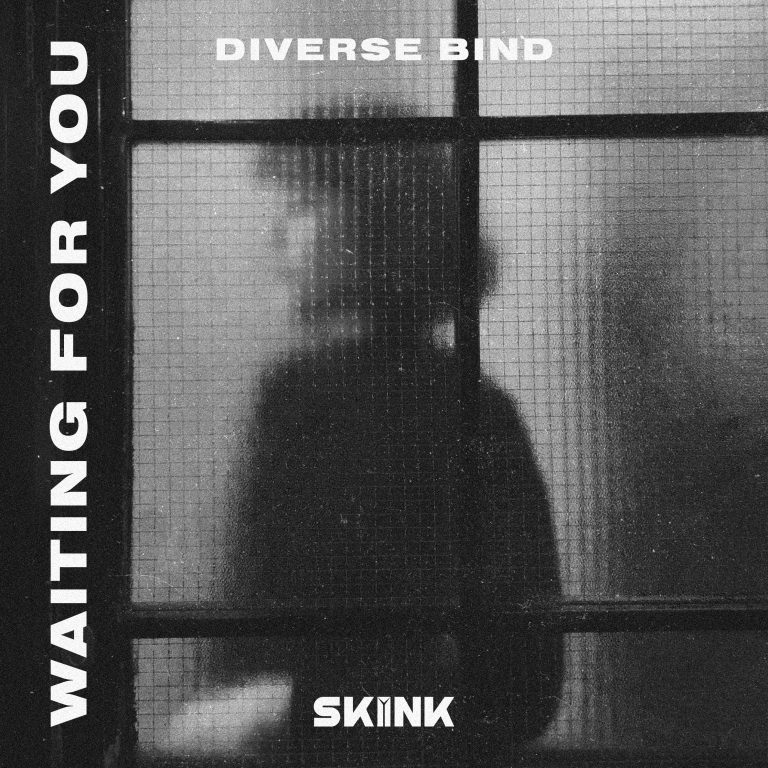 Diverse Vind- Waiting For U artwork